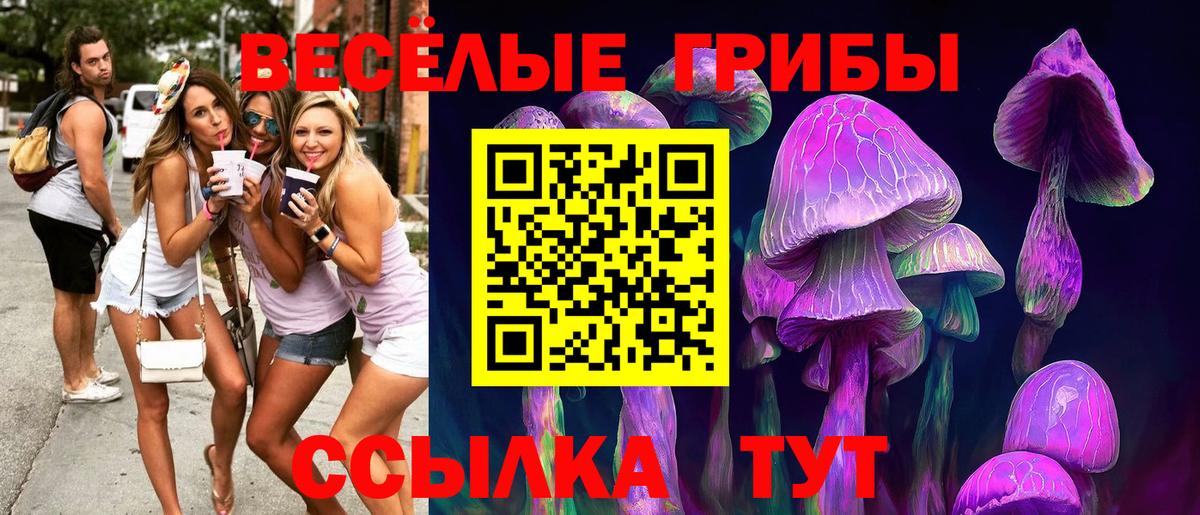 Псилоцибиновые грибы MAGIC MUSHROOMS  Псилоцибиновые грибы Psilocybe  Янаул  Вход с VPN 